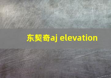 东契奇aj elevation